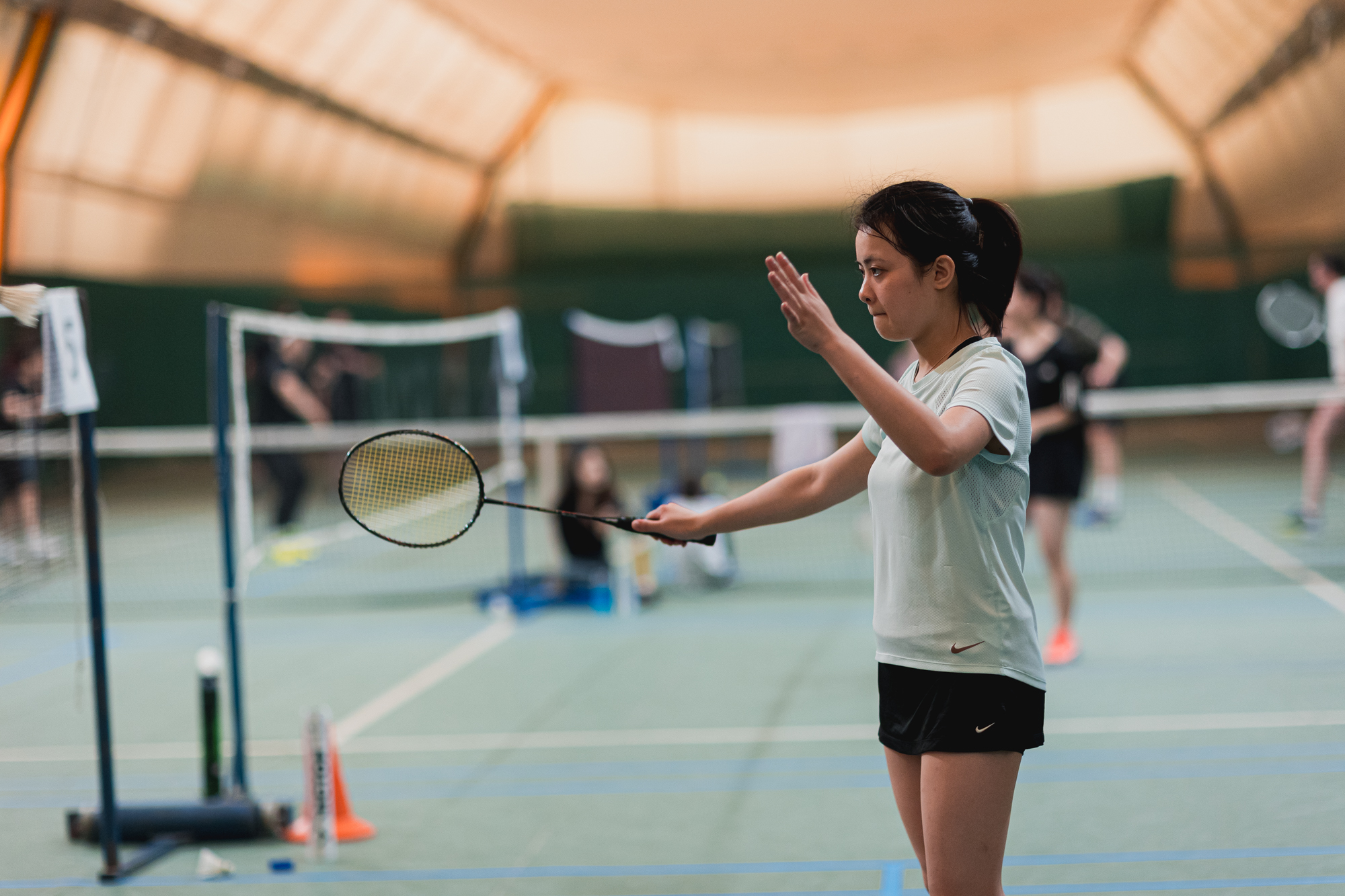 Можно ли научиться играть в бадминтон по видеоурокам